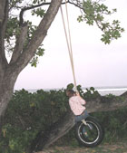 Kid on a Tire Rope Swing on the Beach