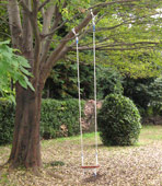 tree_swing_long_rope.jpg